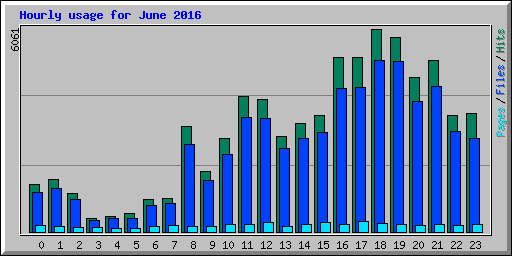 Hourly usage for June 2016