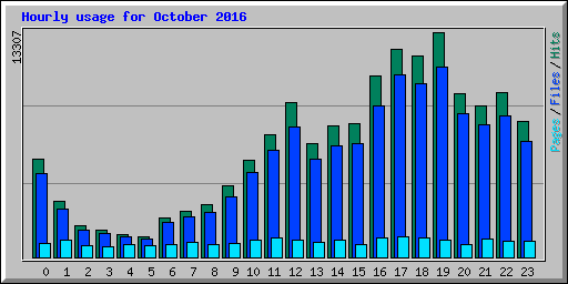 Hourly usage for October 2016