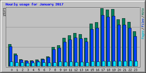 Hourly usage for January 2017