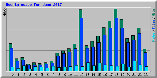 Hourly usage for June 2017