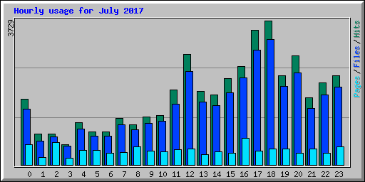 Hourly usage for July 2017