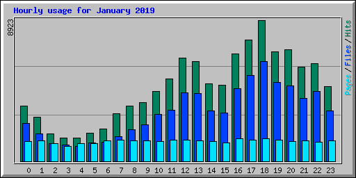 Hourly usage for January 2019