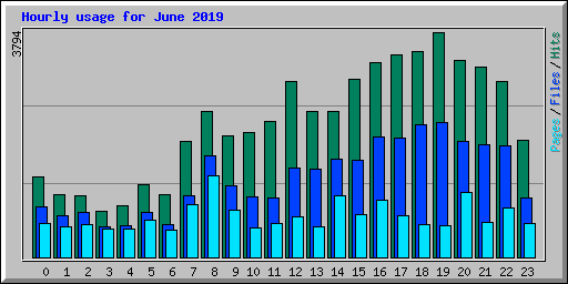 Hourly usage for June 2019