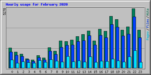 Hourly usage for February 2020
