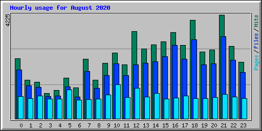 Hourly usage for August 2020