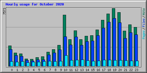 Hourly usage for October 2020
