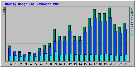 Hourly usage for November 2020