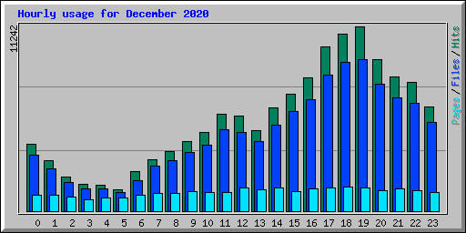 Hourly usage for December 2020