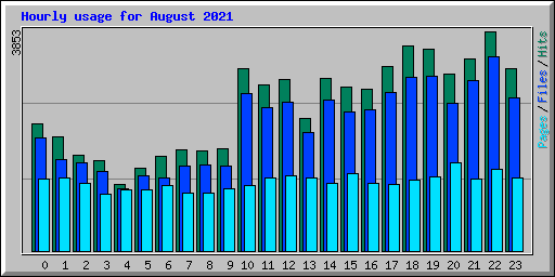 Hourly usage for August 2021