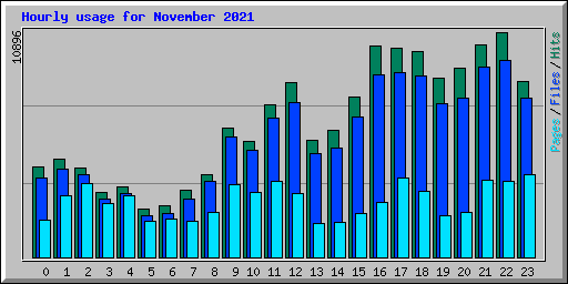 Hourly usage for November 2021