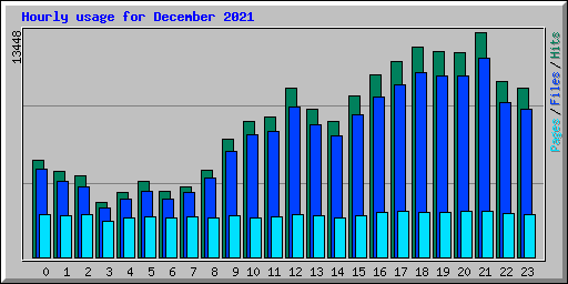 Hourly usage for December 2021
