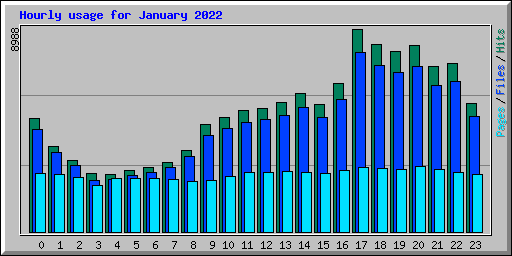 Hourly usage for January 2022