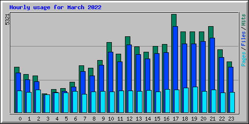 Hourly usage for March 2022