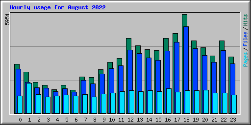 Hourly usage for August 2022