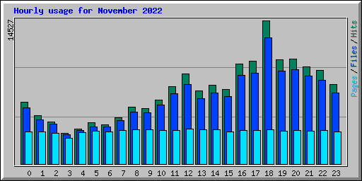 Hourly usage for November 2022