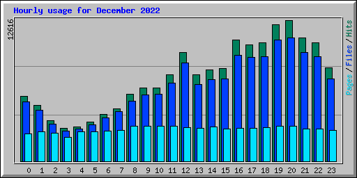 Hourly usage for December 2022
