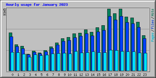 Hourly usage for January 2023