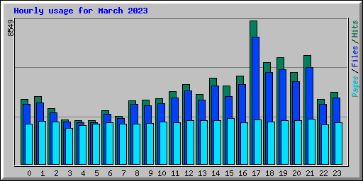 Hourly usage for March 2023